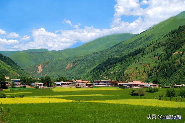 新都桥草原风景，新都桥—塔公草原—雅砻江河谷——迷人的夏季风光