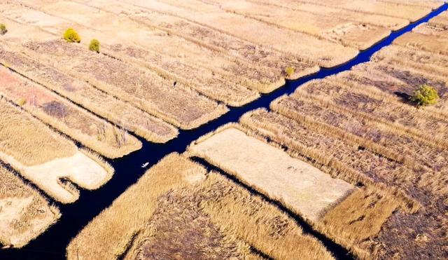 白洋淀冬天的生活，只有60来岁的人才会做……