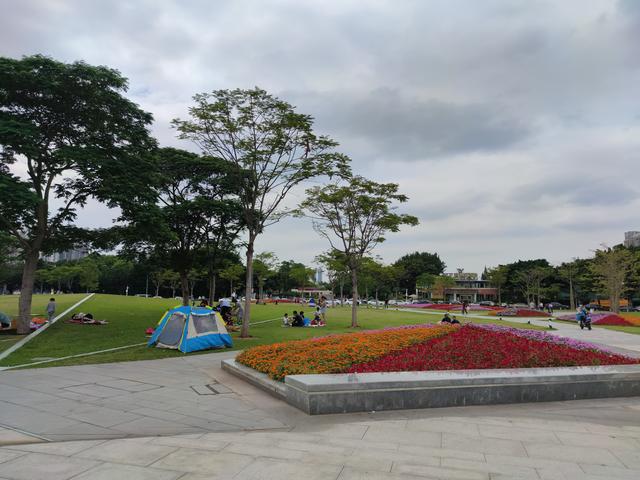 广州最适合去的公园，广州十个必打卡公园<免费篇>