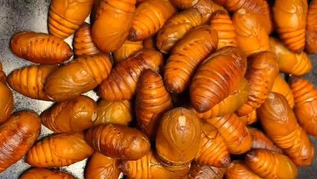 东北干煸蚕蛹的做法，干煸蚕蛹的做法东北做法