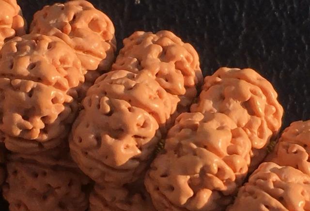 金刚菩提手串的最佳盘玩方式，金刚菩提10大盘玩方法介绍