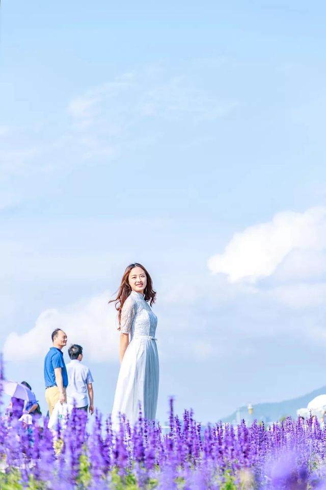 深圳旅游攻略景点推荐，深圳十条旅游路线（不完整的旅游景点和美食选择）