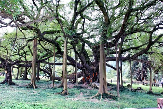 去了才知道说阳朔山水甲桂林，桂林旅游阳朔自由行攻略