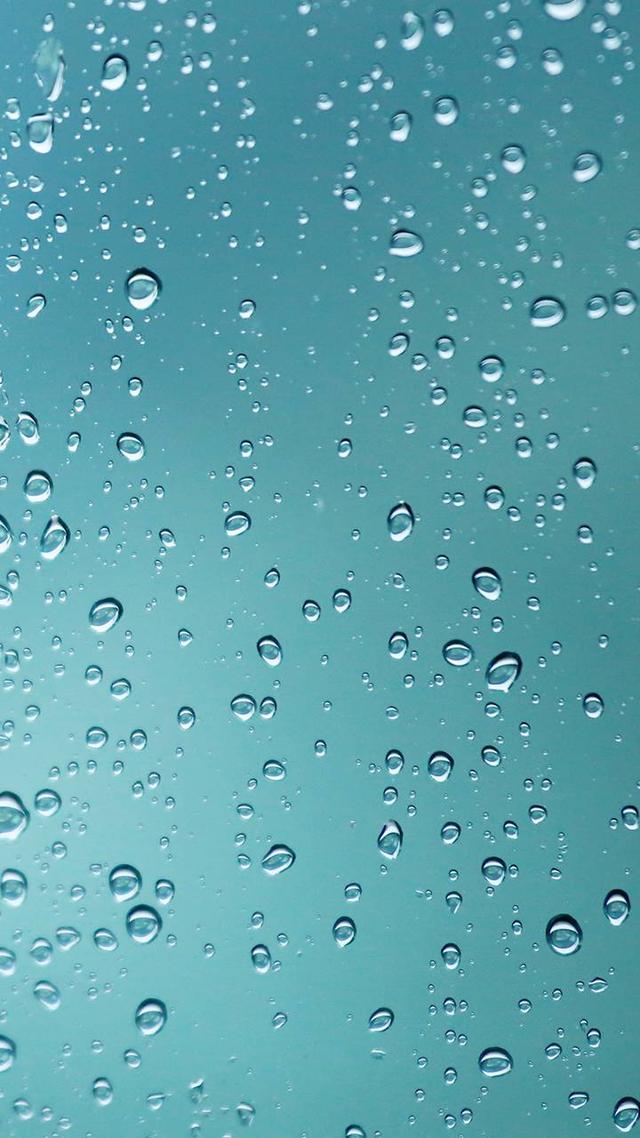 我的爱情观1000字，我的爱情观