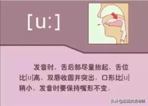 英语音标怎么学，初学英语者必看如何学习国际音标（资深老教师说：音标就该这样学）