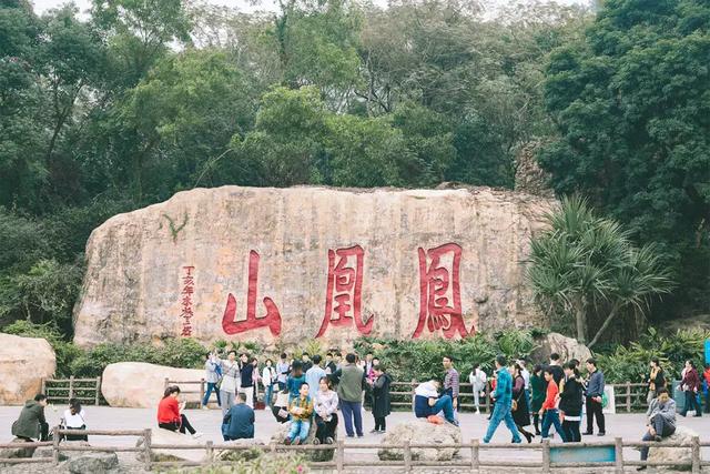 深圳十大山风景区，推荐10个非常值得一去的登山打卡点