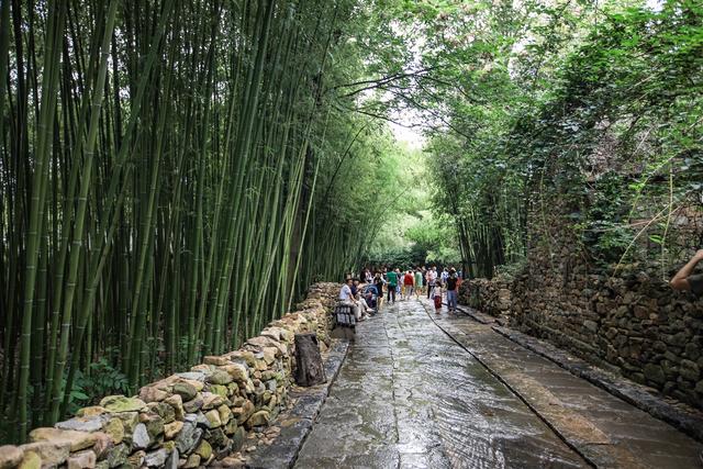 沂南除了竹泉村还有什么景点，乡村旅游精品线路