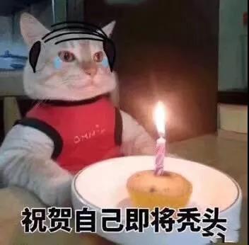 狗子啥时候掉毛严重，为什么狗狗在冬天掉毛特别多