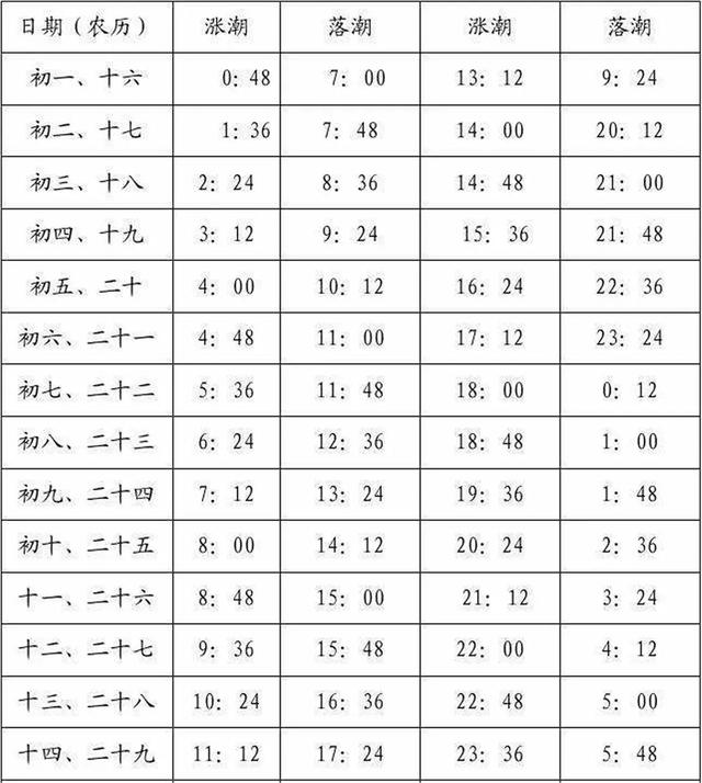 赶海人一般在什么地方赶海，赶海要准备的工具和技巧