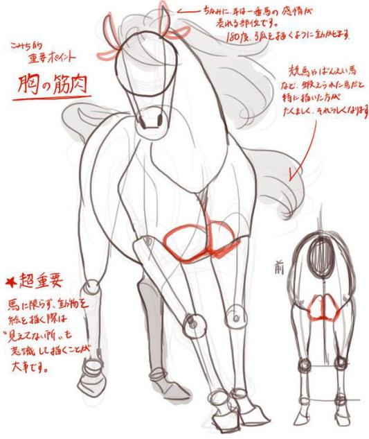 徐悲鸿画马技法，徐悲鸿马画法图（第一次看徐悲鸿画马的过程）