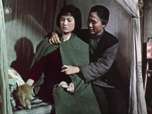 林家铺子创始人林楠身价，《大连品牌力量》专访大连林家铺子食品股份有限公司董事长林楠