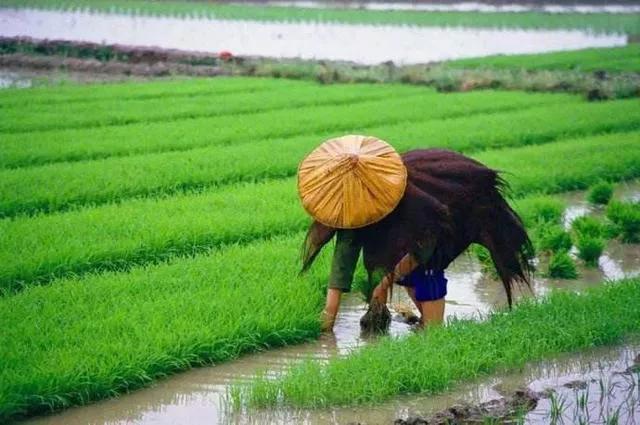 上巳节是几月几日，上巳节每年都是公历几月几日（清明节丨三个节日交融而生）