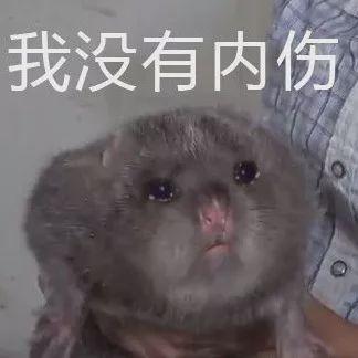 属鼠的都有哪些明星，请记住这些明星鼠