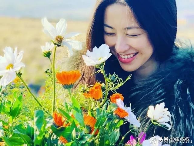 曾艳压章子怡刘亦菲，靳东章子怡