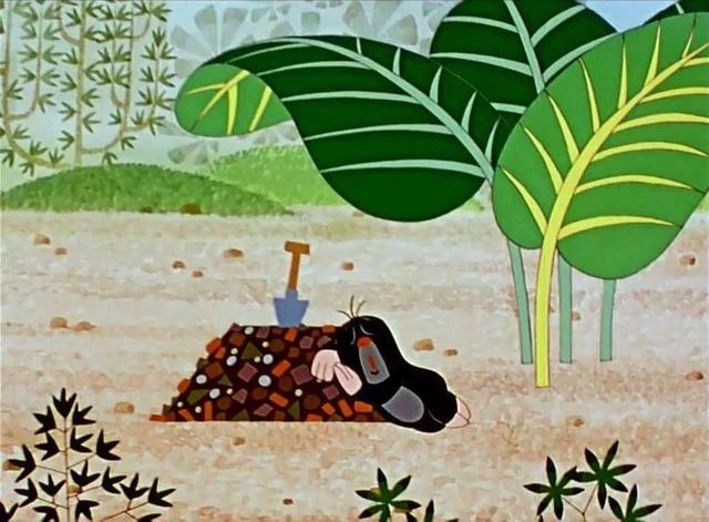 小孩子看的动画片，适合孩子看的少儿动画（快看看你家孩子看过几个）