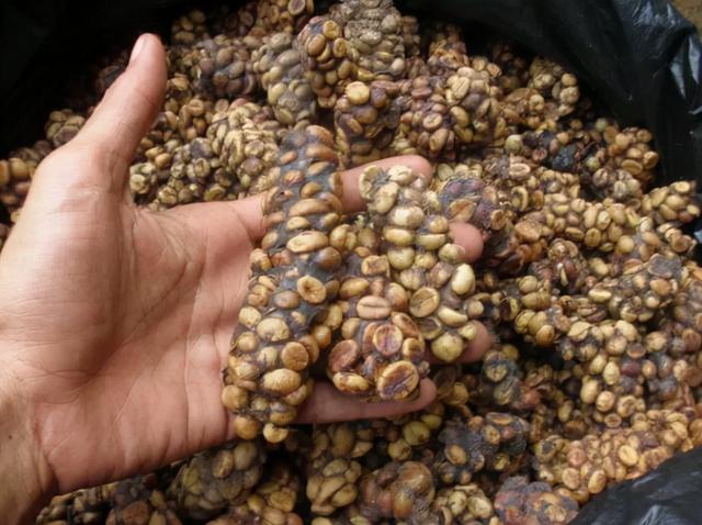 世界上最贵的零食，什么零食比较高级和贵（“零食界爱马仕”）