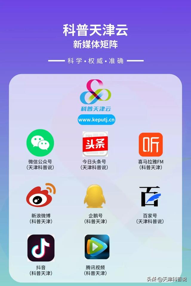 为什么可乐的味道不一样，不同包装的可乐口感不同吗