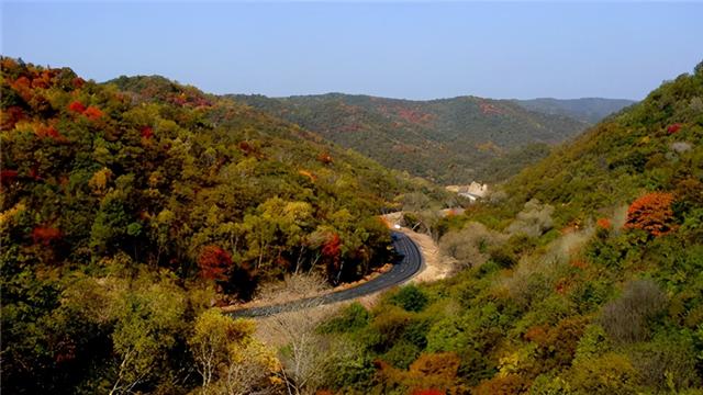 石门山森林公园，旬邑县石门森林公园景区介绍（石门国家森林公园恢复开放）