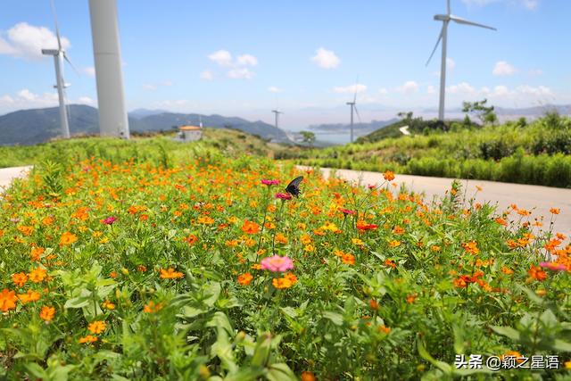 福泉山国家公园，福泉山风车公路
