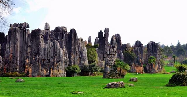 石林风景区门票价格，石林风景门票价（这些人群可免费游石林风景区）