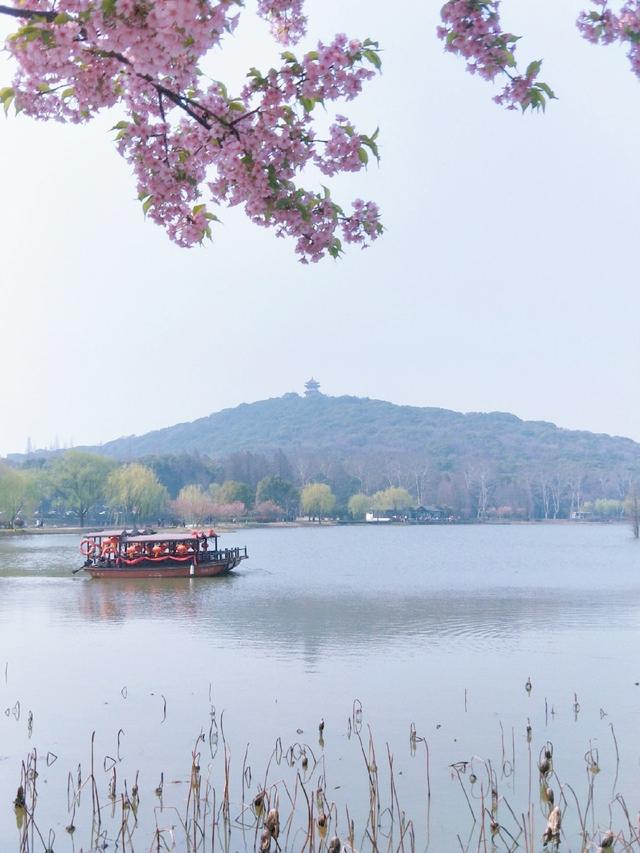 带有春风的诗词句有哪些，58句春风诗词送给你