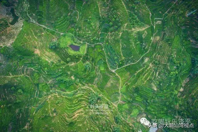 你好我叫饶平这是我的新名片，我是饶平人