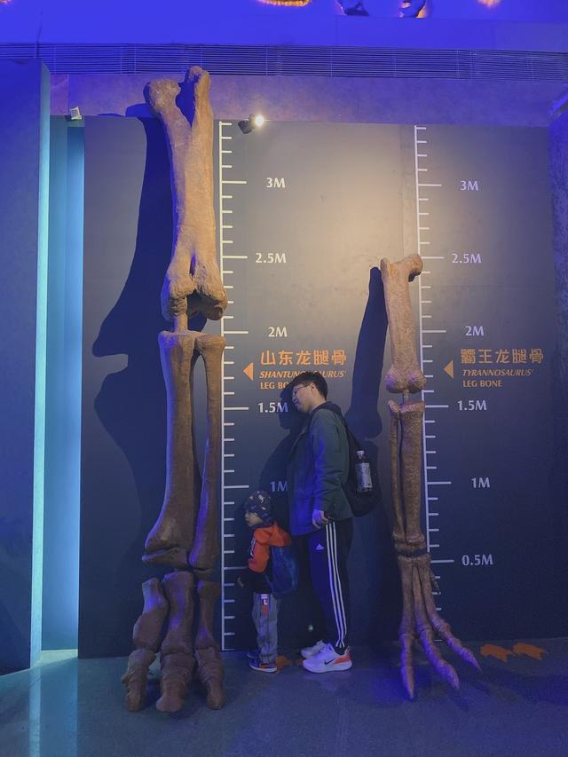 常州中华恐龙园，常州中华恐龙园游玩攻略