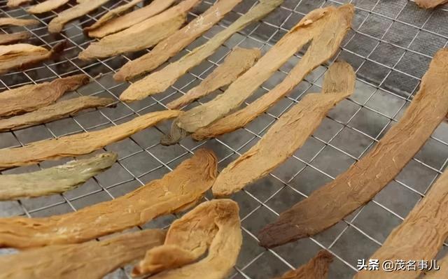 化州在哪里呀，你好化州