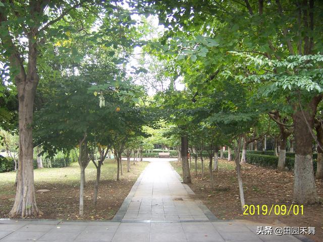 连云港新浦公园，连云港新浦公园在什么位置