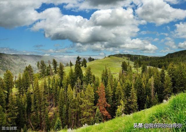 阿尔山旅游攻略，阿尔山旅游攻略大全自驾游（去过三次整理的注意事项）