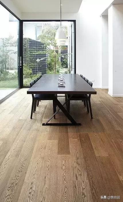 橡木相关知识，记得收藏这篇文章备用