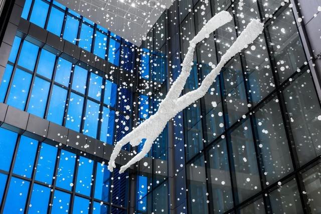 施华洛世奇摆件，施华洛世奇经典款天鹅摆件（这次又是什么绝美造型）