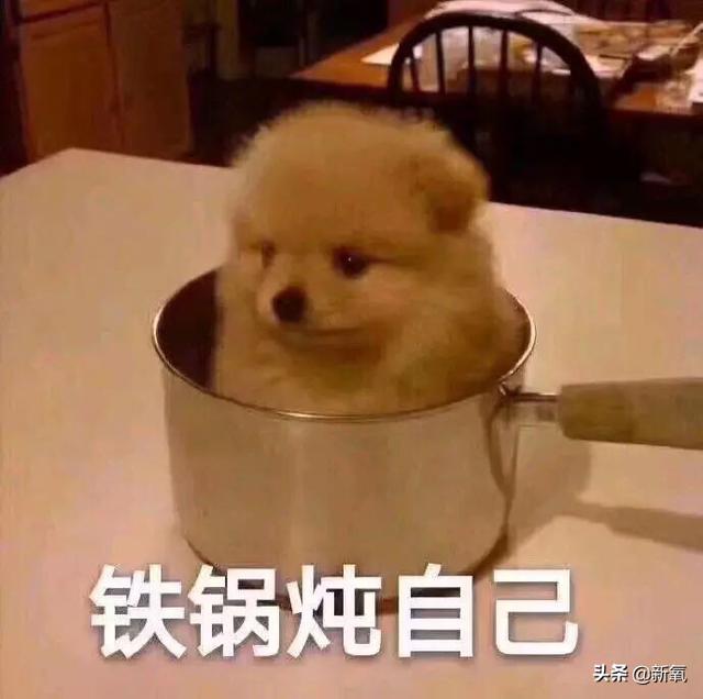 李响孙骁骁公开恋情，孙骁骁李响分手原因曝光（主持人李响大婚新娘不是孙骁骁）
