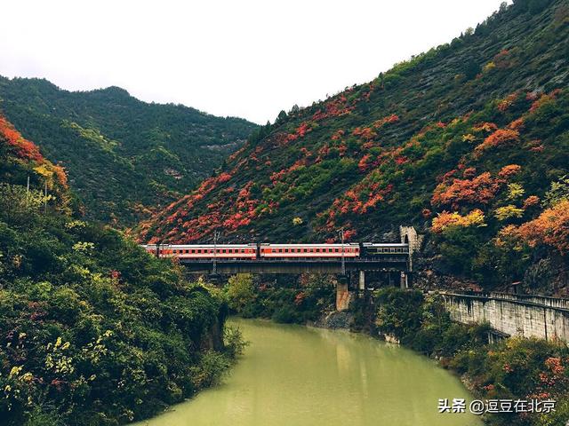 秦岭隧道在哪里，秦岭最大隧道在哪