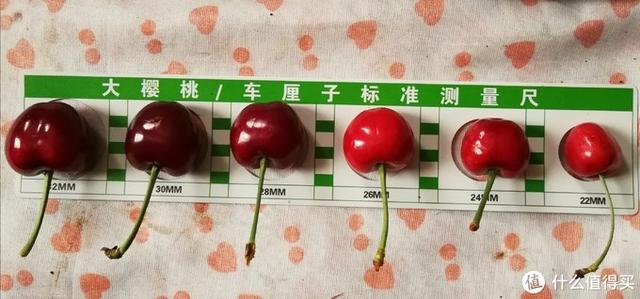 国产樱桃品种对比，国产樱桃品种及购买一些介绍