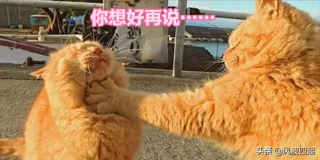 为什么会患得患失，为什么一些人患得患失（《我家小两口》小戚为何“患得患失”）