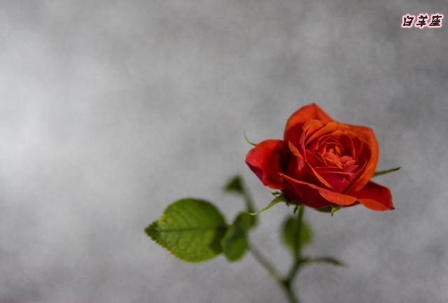 最容易成为渣男的五大星座，堪称直男的三大星座