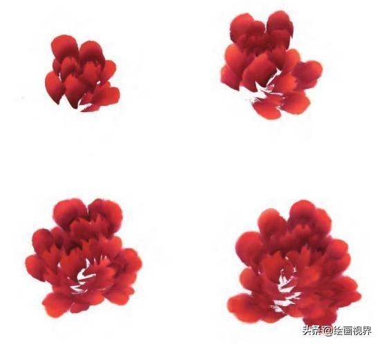 牡丹画法的12种步骤，钛白、藤黄、朱磦、颜料准备好