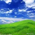 20句描写春的诗句，写春的诗句欣赏