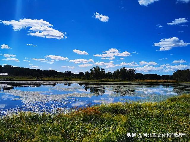 金秋塞罕坝旅行，红色旅游精品线路推介