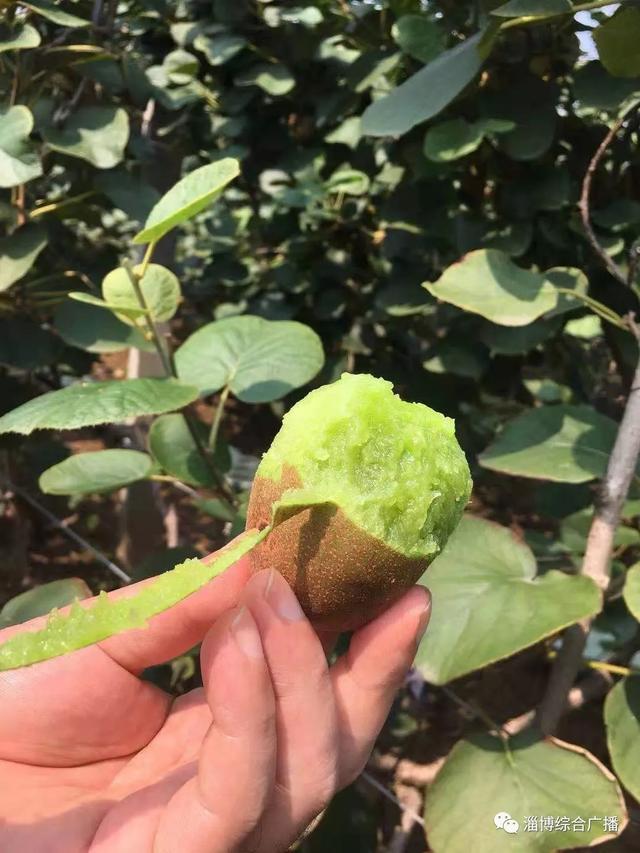 淄博当地特色美食，一座宝藏美食之城