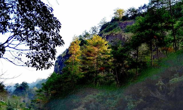 福建南平有什么旅游景点吗，福建省南平市值得游玩的旅游景点有哪些