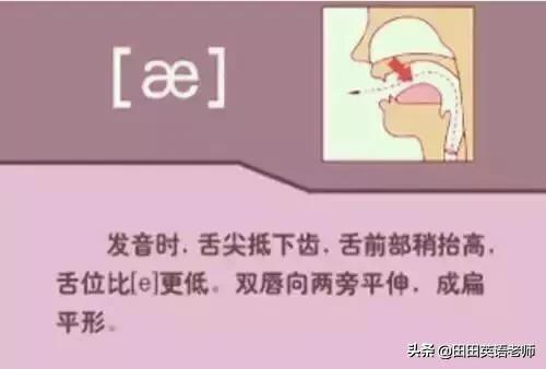 英语音标怎么学，初学英语者必看如何学习国际音标（资深老教师说：音标就该这样学）