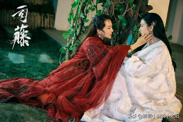 司藤与白英相遇，原著半妖司藤白英是情感