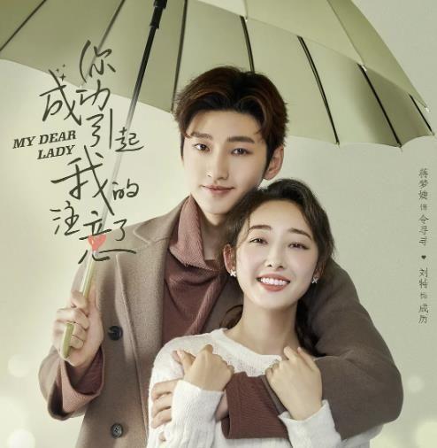 高甜姐弟恋甜宠剧，十七部姐弟恋的甜宠剧