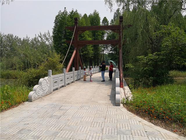 泰州溱湖湿地公园，江苏溱湖国家湿地公园（泰州溱湖国家湿地公园）