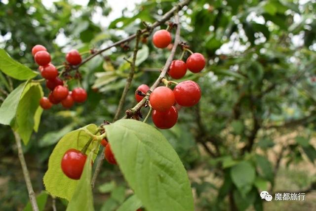 四明山好玩的景点大全，四明山游记