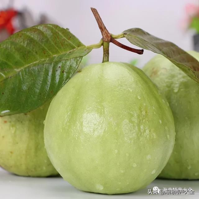 热带水果图片名称大全，海南10种热带水果（海南热带水果全介绍）