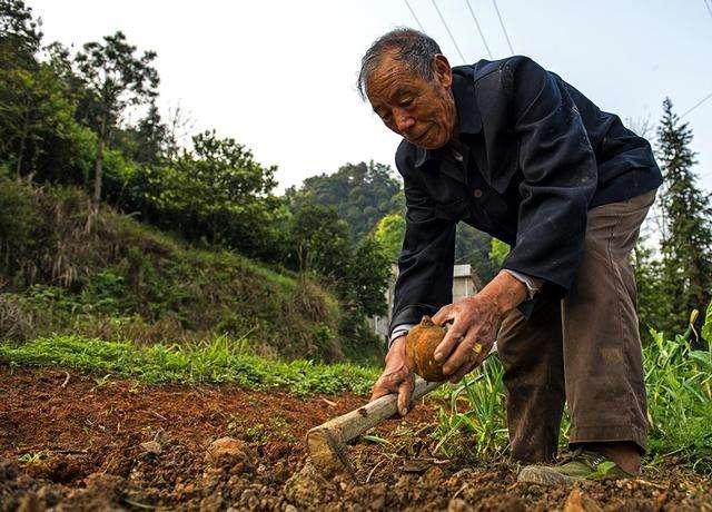 当前农村存在问题的对策和建议，当前农村存在的又一问题