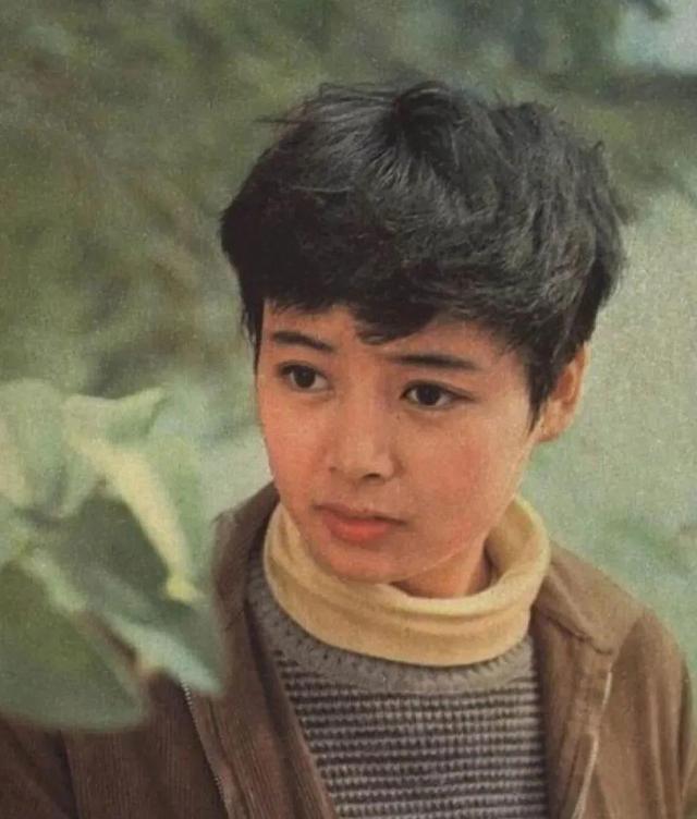 江珊主演的电视剧，江珊与靳东主演的电视剧全集（王志文和江珊不是夫妻胜似夫妻）